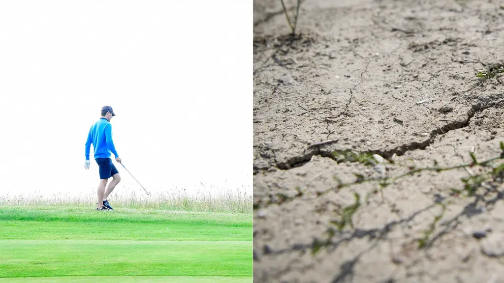 Bildmontage: Golfspelare och torr jord