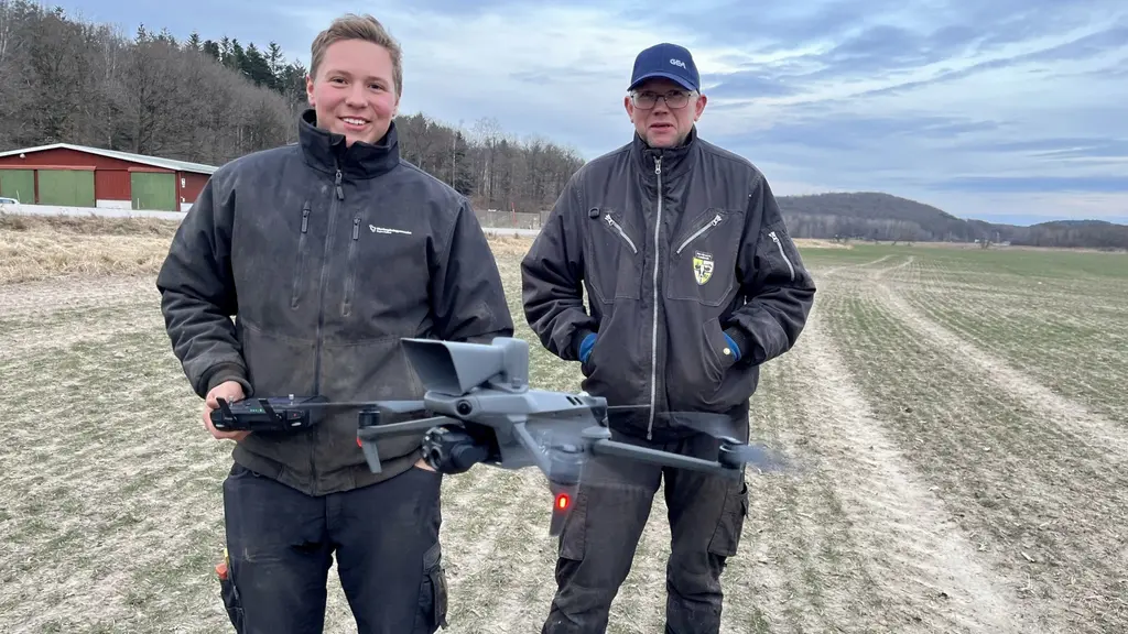 Sonen Linus Alfredsson och Henrik Alfredsson kämpar mot gässen. 
