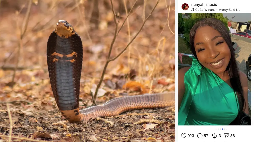 Sångerskan Ifunanya Nwangene dog efter att ha blivit biten av en kobra i sitt hem.