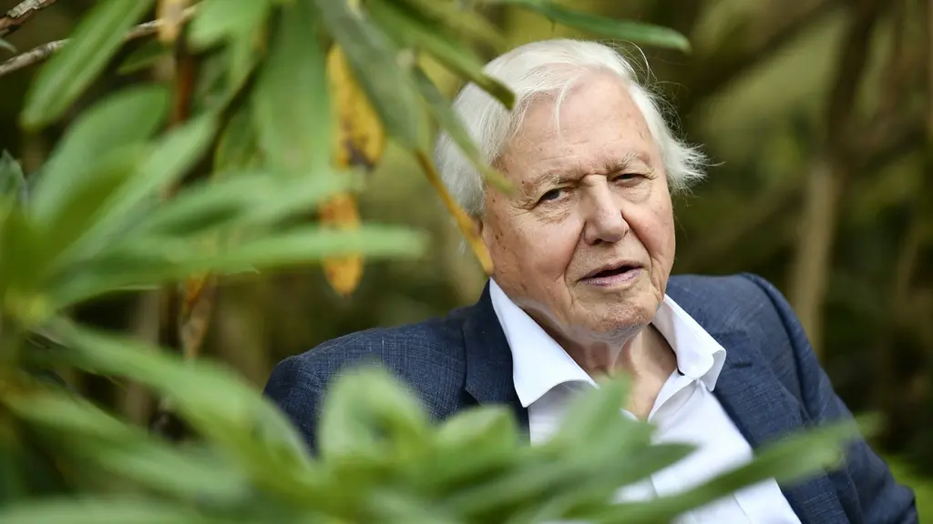 Sir David Attenborough sitter i Göteborgs Botaniska trädgård omgiven av grönska, iklädd vit skjorta och mörk kavaj.