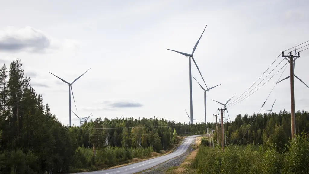 Vindkraft i Norrbotten: flera höga vindkraftverk vid Markbygden utanför Piteå, intill skog och grusväg under mulen himmel.