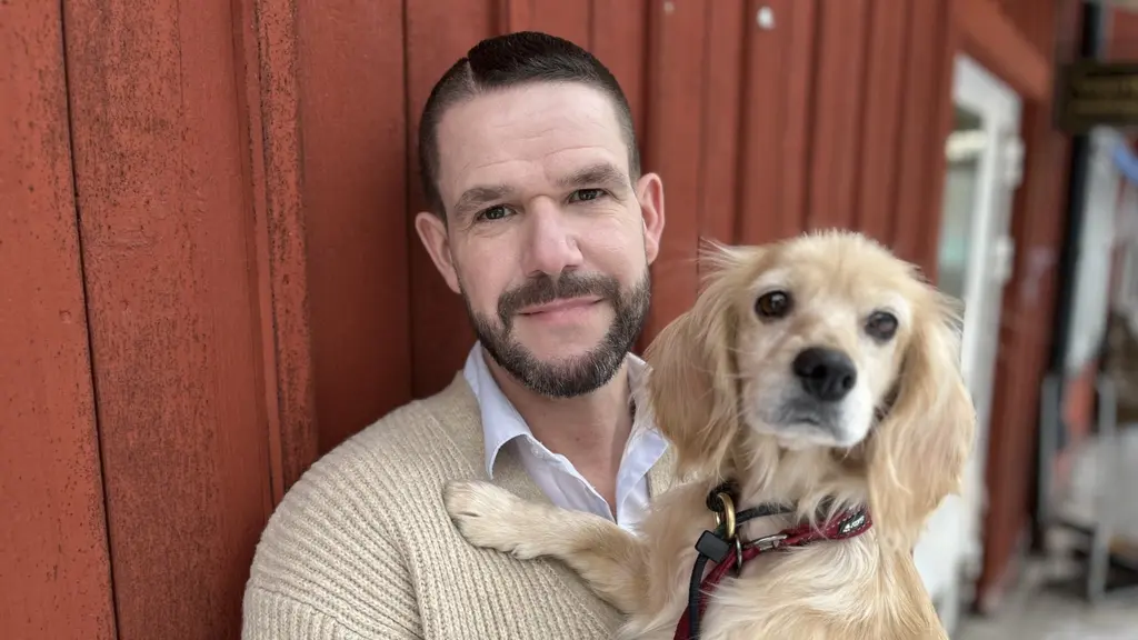 Hundstallet i Stockholm har märkt en tydlig ökning av hundar som kommer in med en oklar bakrund