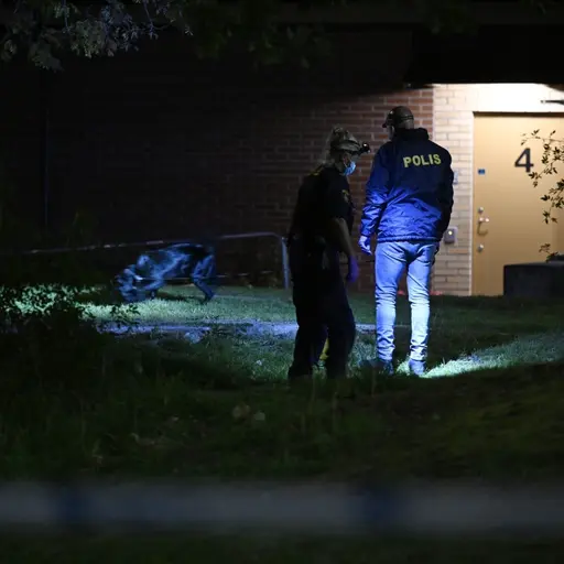 Två poliser undersöker en gräsyta i mörker med ficklampor utanför en byggnad. En polis är markerad med ordet 'polis' på ryggen. En hund syns i bakgrunden.