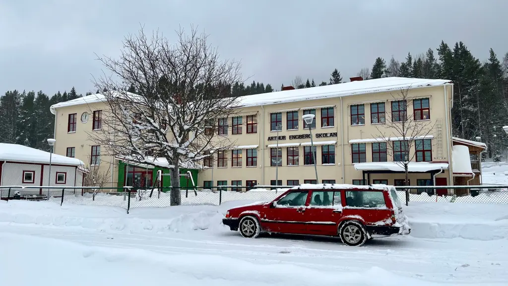 Utredningen som Nordanstigs kommun gjort efter snöhögsolyckan där en pojke avled visar på brister då det saknas rastvakter.