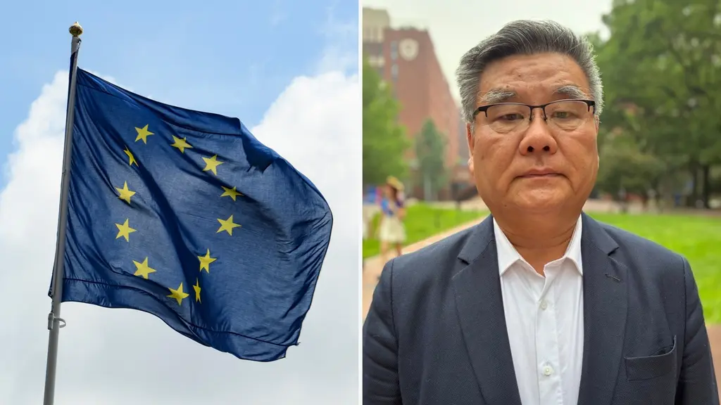 Delad bild visar EU-flagga mot himlen och en suddad person i kavaj utomhus, framför grönska och byggnad. Illustration till nyhetsinslag om EU och politik.