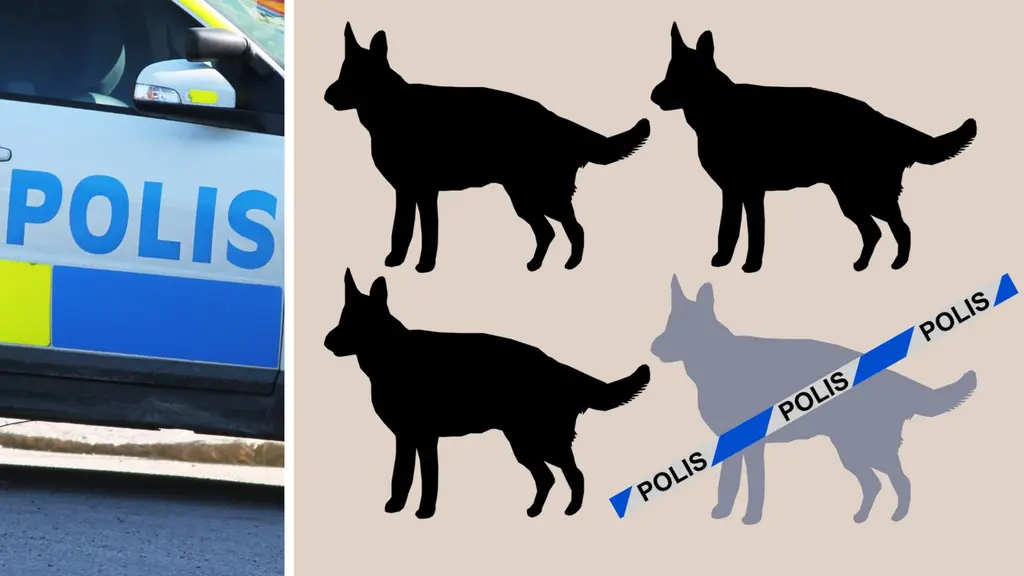 Grafik: En av fyra polishundar försvinner.