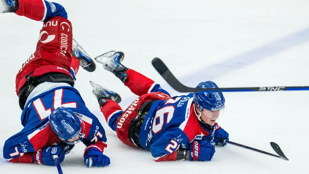 Ishockeyspelare ramlar.