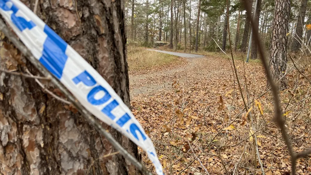 Polisavspärrning i skogsmiljö nära Oskarshamn. Bilden visar ett träd med polisband och lövbeklädd mark.