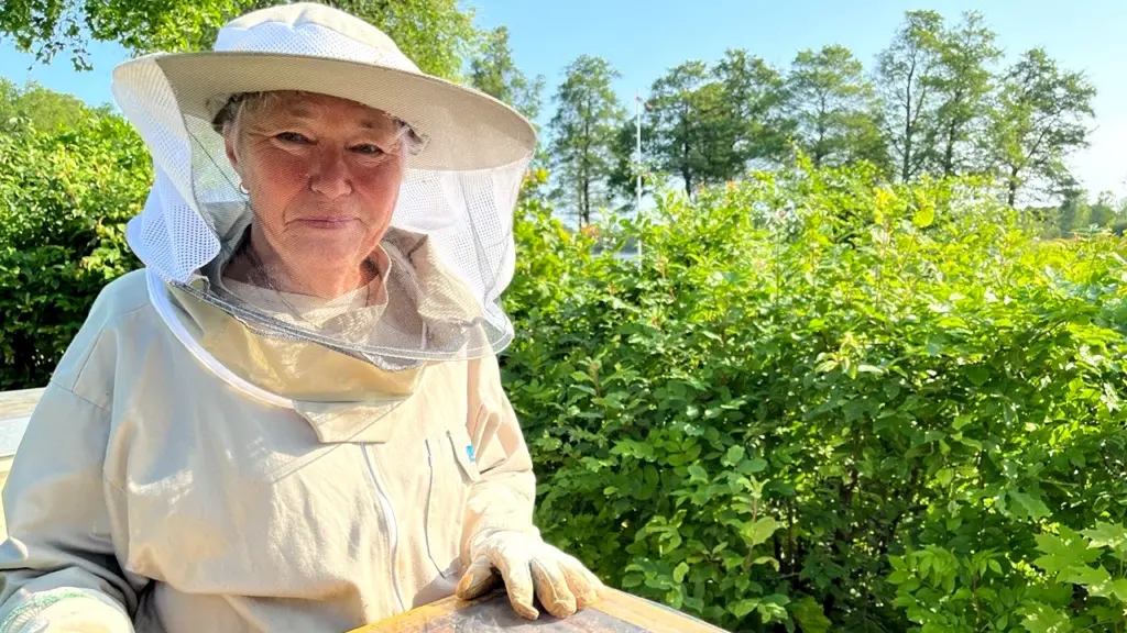 Inger Kullberg står utomhus i en skyddande biodlardräkt med handskar och hatt med nät, omgiven av grönska under en klar blå himmel.