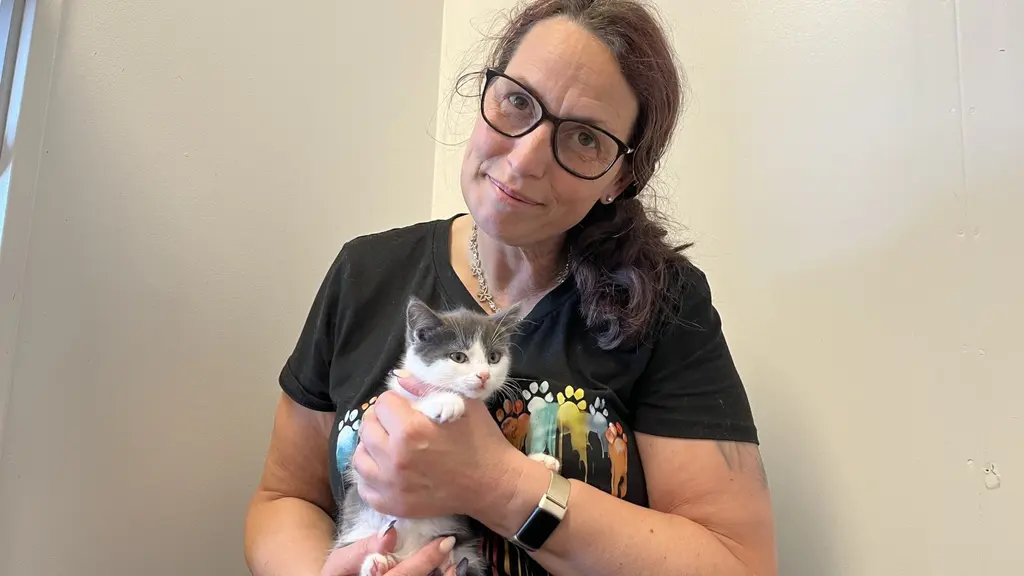 Heidi Lihavainen, ordförande för Djurens Vänner Värnamo, håller en liten gråvit kattunge i händerna. Hon har en svart t-shirt med färgglada djurmönster och står inomhus.