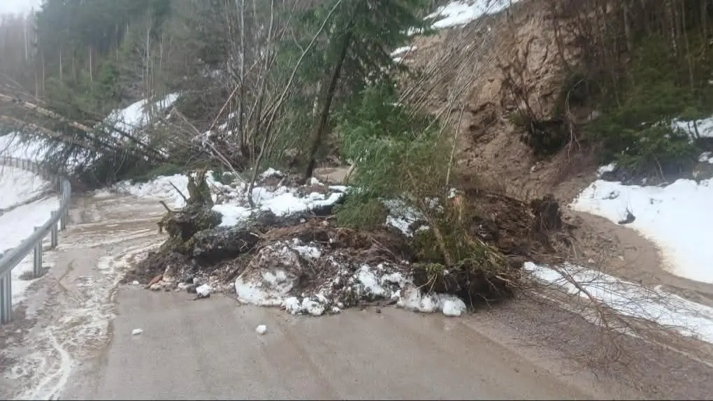 Bild på vägraset mellan Fastnäs och Värnäs i norra Värmland, med granar, ris och jord som glidit ner i en slänt och sprider ut sig över vägen. Ett vägräcke skymtar till vänster i bild. 