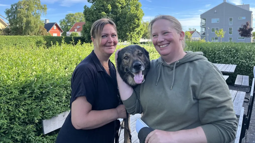 Sara Andersson och Kristin Blomqvist sitter utomhus med blodgivarhunden Reko mellan sig, framför en grön häck och sommarhus i bakgrunden.