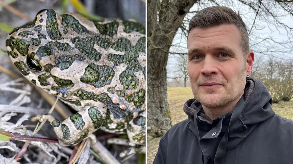 En man med svart vinterjacka tittar in i kameran. Bakom honom syns en allé med träd i bruna färger. 