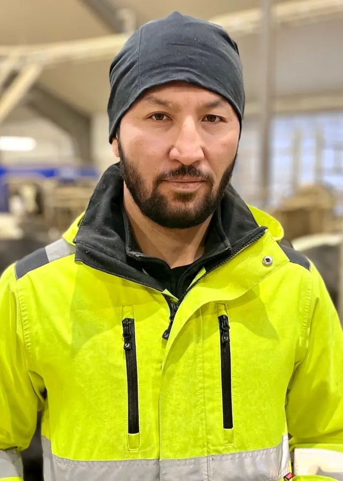 En person klädd i gul arbetsjacka står i en ladugård omgiven av kor. Miljön är ljus och modern, med stora fönster och stängsel som avgränsar djuren.