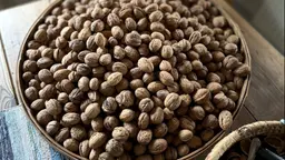 Svenska valnötter. Odlade hos Marc Wester norr om Hallandsåsen.