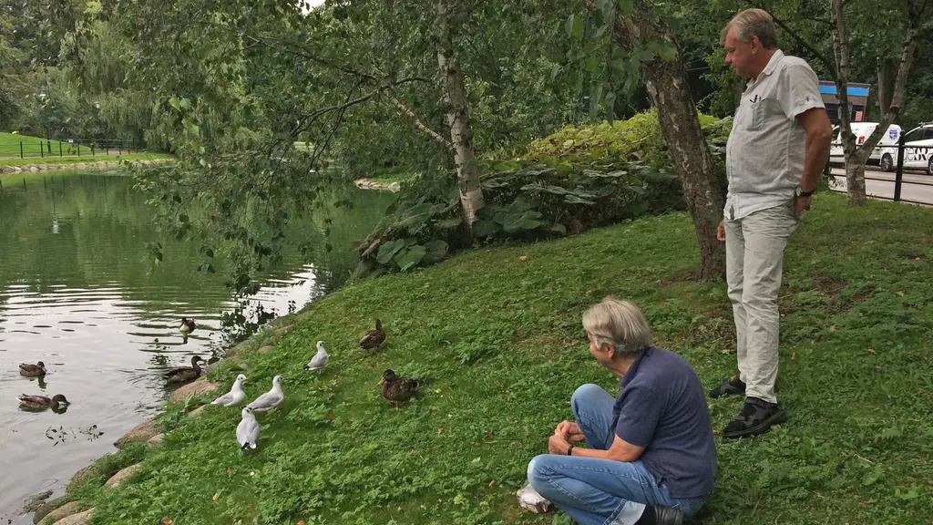 Fågelvännen Bodil Nilsson och gatukontorets Ola Enqvist väntar på svar om varför gräsänder dött i Slottsparken i Malmö. Foto: Martina Greiffe/Sveriges Radio.