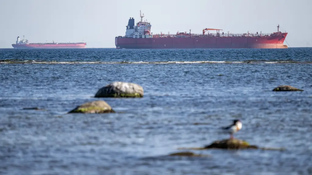 Bordade tankfartyg ur den misstänkta ryska skuggflottan ligger för ankar utanför Trelleborg. I förgrunden syns Östersjöns vågor, stenar och en sjöfågel. Foto: Johan Nilsson/TT. 