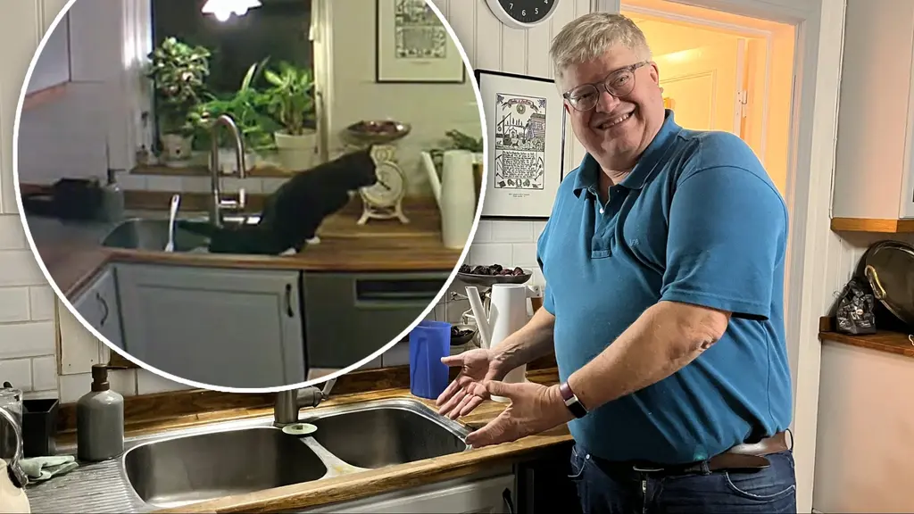 En bild på när katten bajsar i kökshandfatet och en bild på Thomas Dahl