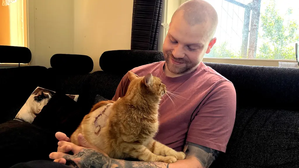 En man i en soffa med katt i knäet.