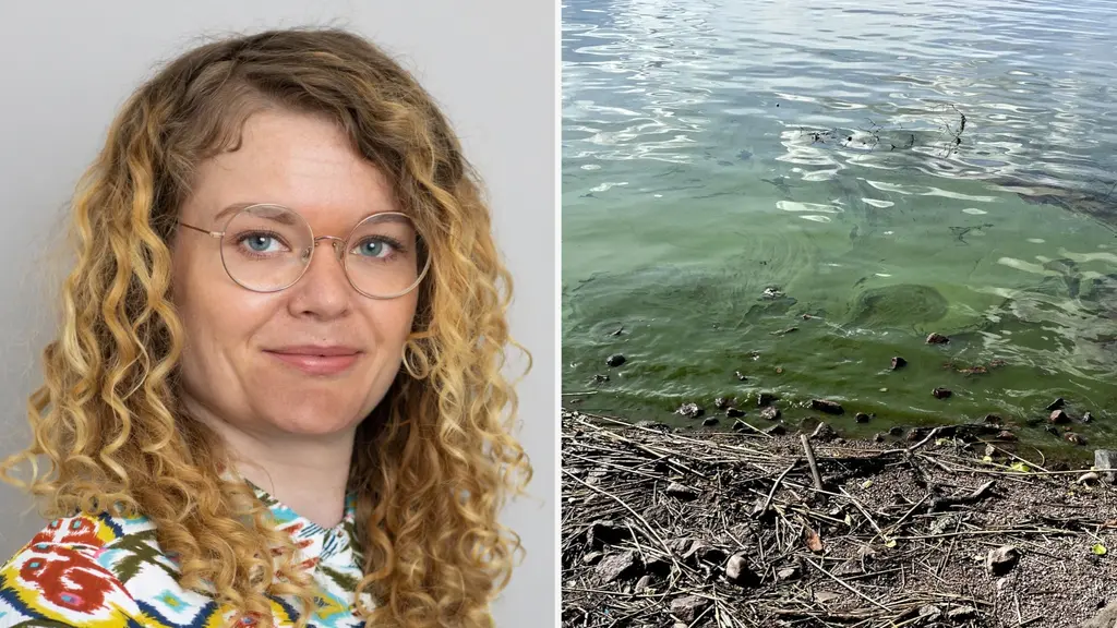 Bildmontage med två delar: till vänster syns en person med lockigt hår mot en neutral bakgrund, till höger en strand med grönfärgat vatten och svart tång vid vattenbrynet.