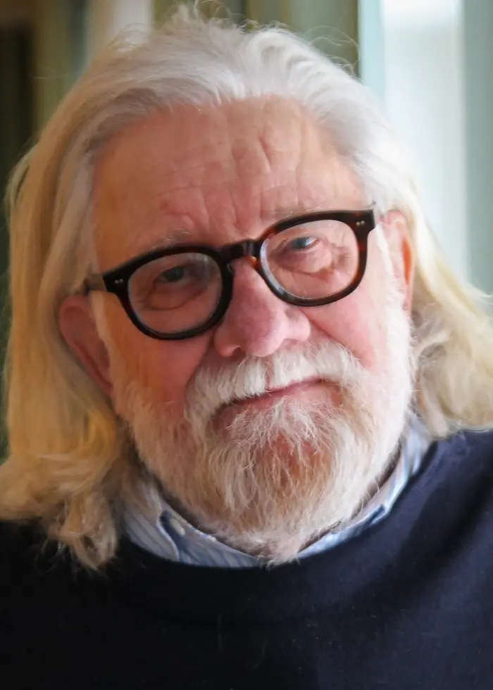 Johan Croneman, krönikör för DN