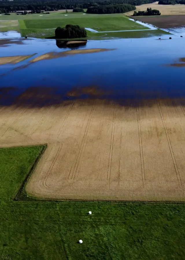 Översvämmad åkermark norr om Sala i Västmanland. Stora delar av fälten är täckta av vatten efter kraftiga skyfall, vilket hotar grödor med ruttnande. Grönska och skog syns i bakgrunden.