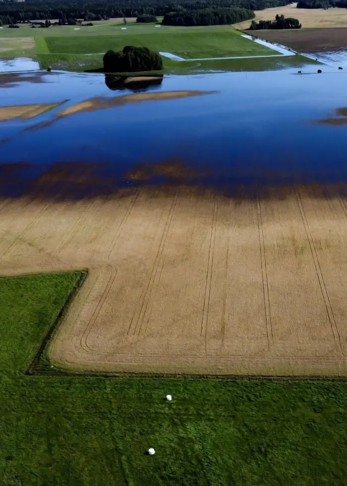 Översvämmad åkermark norr om Sala i Västmanland. Stora delar av fälten är täckta av vatten efter kraftiga skyfall, vilket hotar grödor med ruttnande. Grönska och skog syns i bakgrunden.