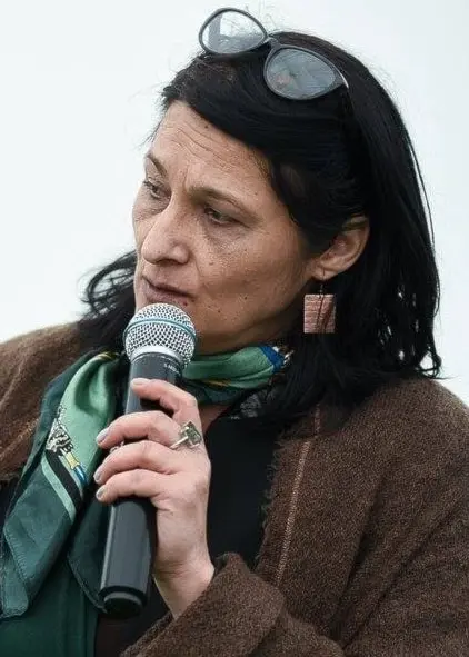 Norica Costache/ Andra världskriget och Förintelsen är centrala delar av historieundervisningen har en del brister i framställningen av andra världskriget.