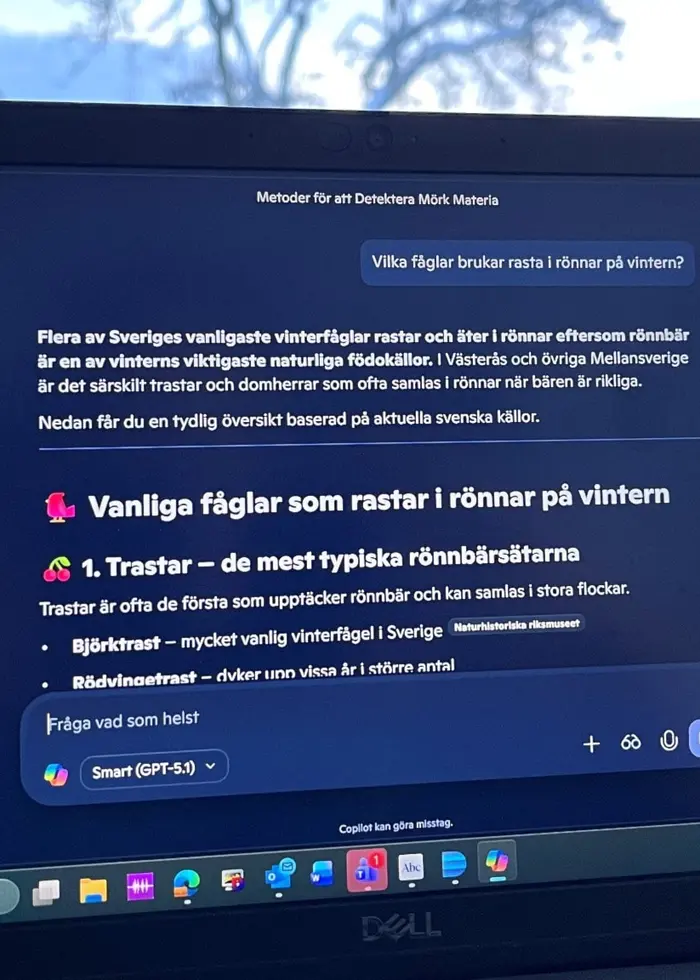 En bärbar dator med en mörk skärm visar en textkonversation. Datorn står på ett bord nära ett fönster med genomskinliga gardiner, och utanför syns en snötäckt rönn i silhuett mot en ljus himmel.