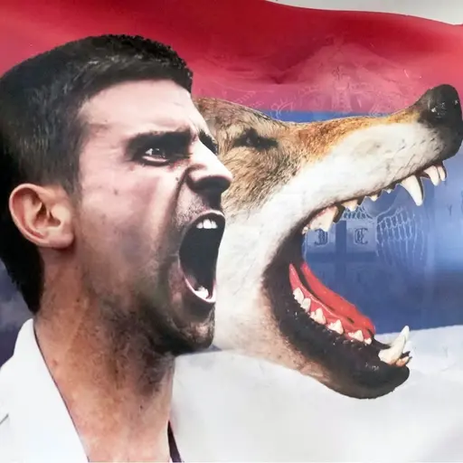 Novak Djokovic. Foto: Darko Vojinovic/AP och Adrian Dennis / AFP