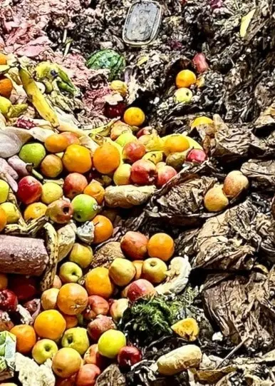 Hela frukter, salami, förpackningar och en massa papperspåsar. Här börjar hanteringen av vårt matavfall.