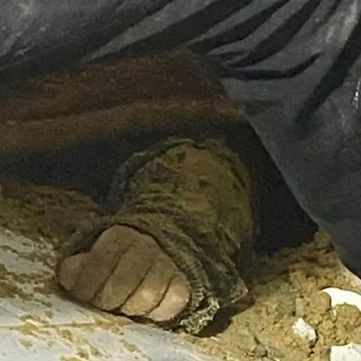 Räddningsarbetare vid ett raserat hus i Gaza och en liten hand täckt av sand som sticker fram mellan rasmassorna.