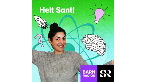 Programbild för Helt sant i Barnradion